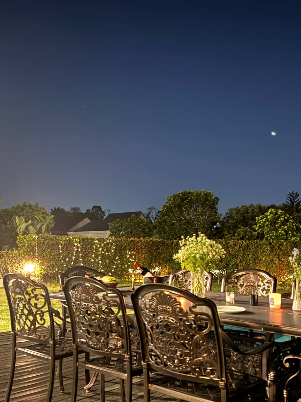 Garden dinner table under the night sky